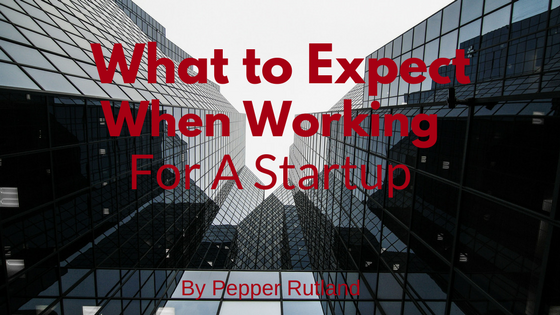 What to Expect When Working at a Startup